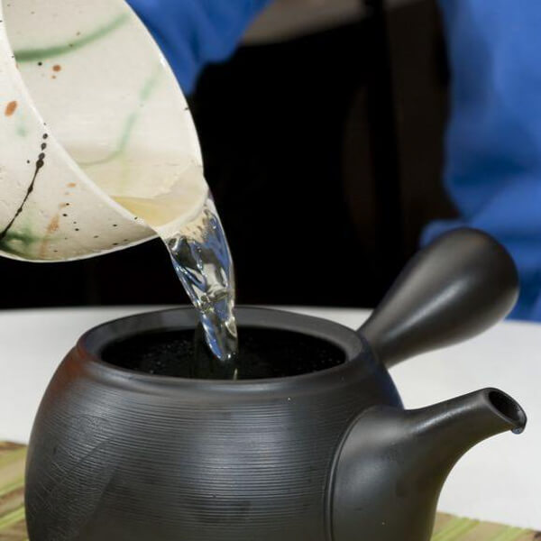 Clay and cast iron teapots for brewing Terra teas.