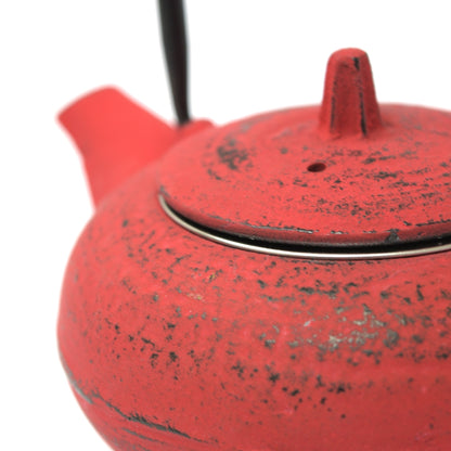 Xiao Cast Iron Teapot 300 ml