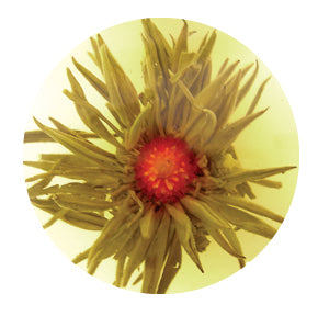 Amaranth Pearl - Blooming Green Tea