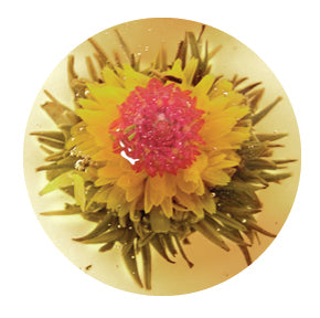 Thé Fleurissant Blanc - Chrysanthème et Amarante - Paquet de 3