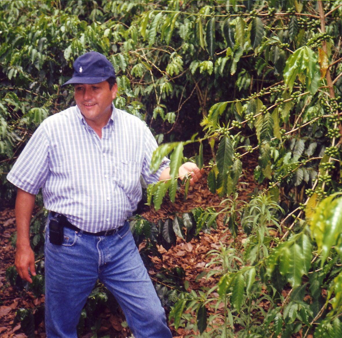 Cuba Caracolillo Coffee