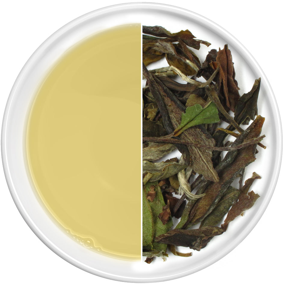 Pai Mu Tan White Tea │Terra Coffee & Ariel Tea