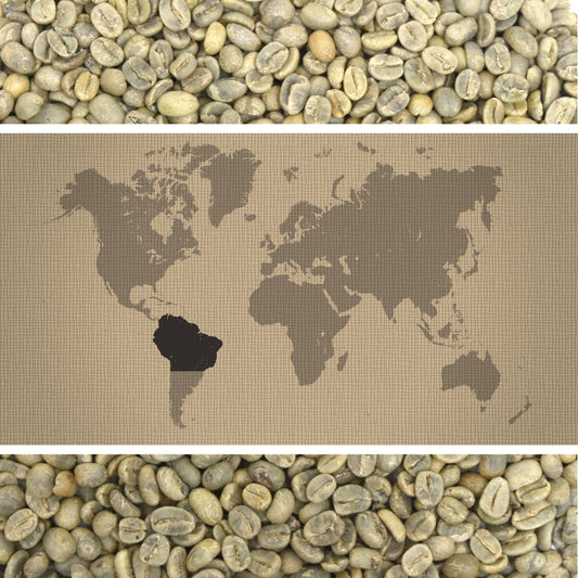 Espresso Toscana - Certified RFA - Green Coffee